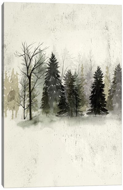 Textured Treeline II Canvas Art Print - Evergreen Tree Art
