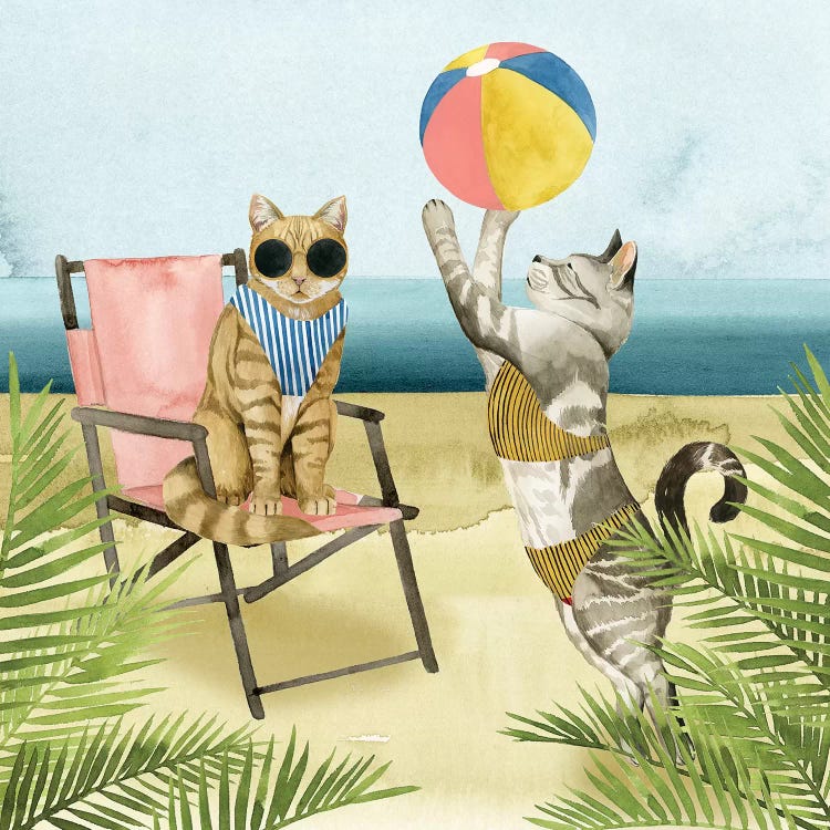 Coastal Kitties I