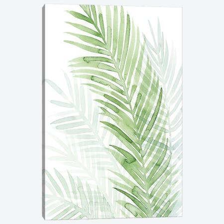Faint Palms I Canvas Print #POP507} by Grace Popp Canvas Art