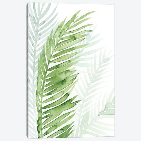 Faint Palms II Canvas Print #POP508} by Grace Popp Art Print