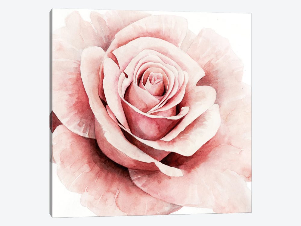 Pink Rose I by Grace Popp 1-piece Art Print