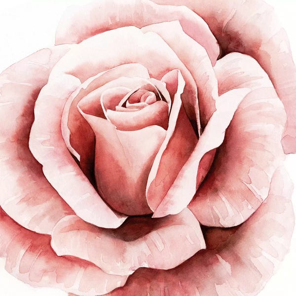 Shabby Chic Décor: Pink Rose II by Grace Popp