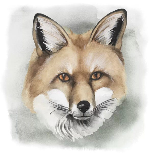 Foxes: Greenwood Animals I by Grace Popp