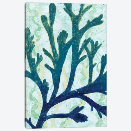 Sea Forest II Canvas Print #POP563} by Grace Popp Art Print