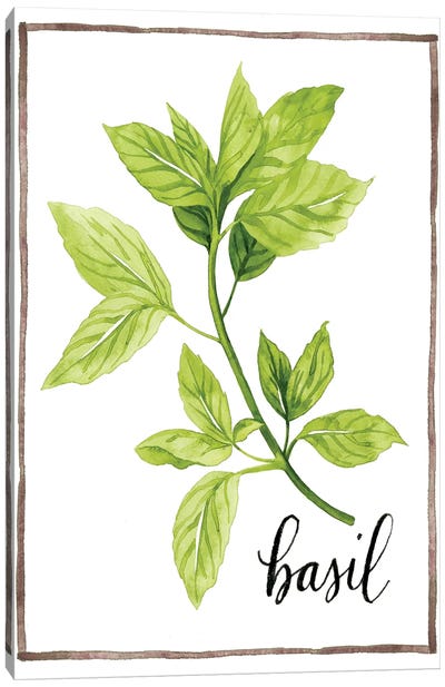 Watercolor Herbs I Canvas Art Print - Farmhouse Kitchen Art