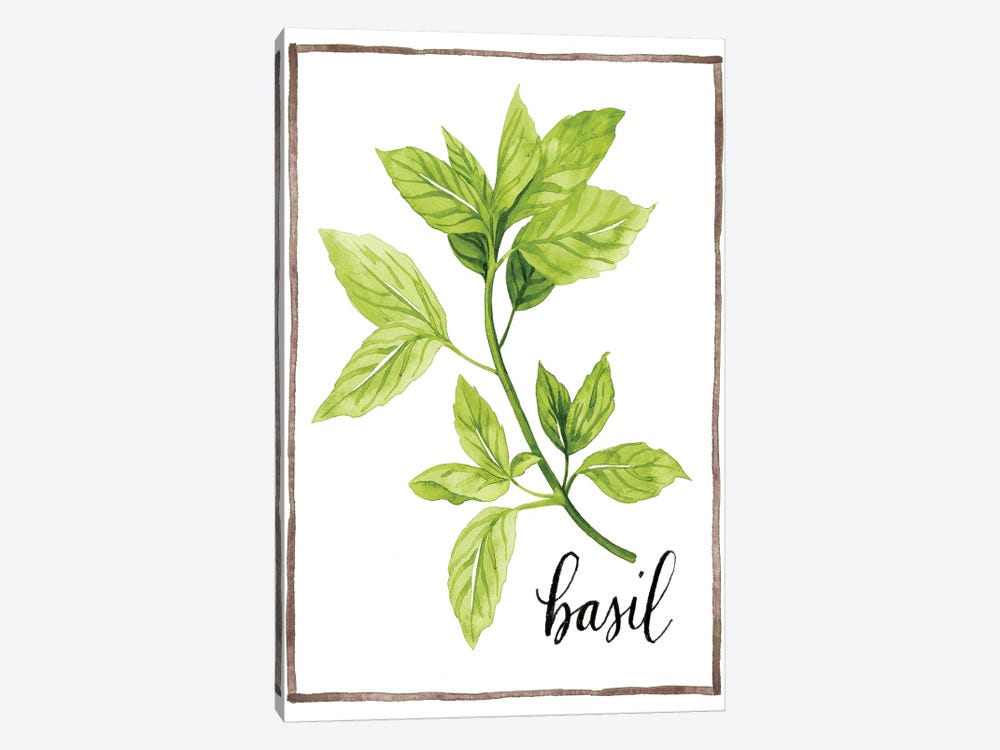 Watercolor Herbs I by Grace Popp 1-piece Canvas Print