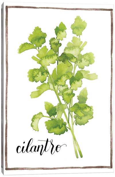 Watercolor Herbs IV Canvas Art Print - Farmhouse Kitchen Art