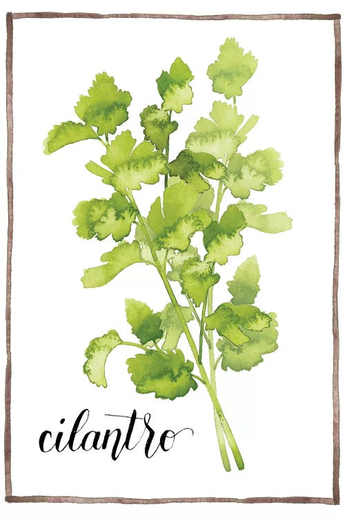 Watercolor Herbs IV