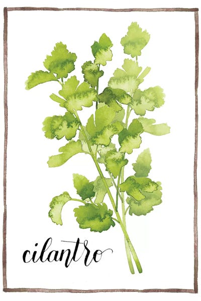 Cooking & Baking: Watercolor Herbs IV by Grace Popp