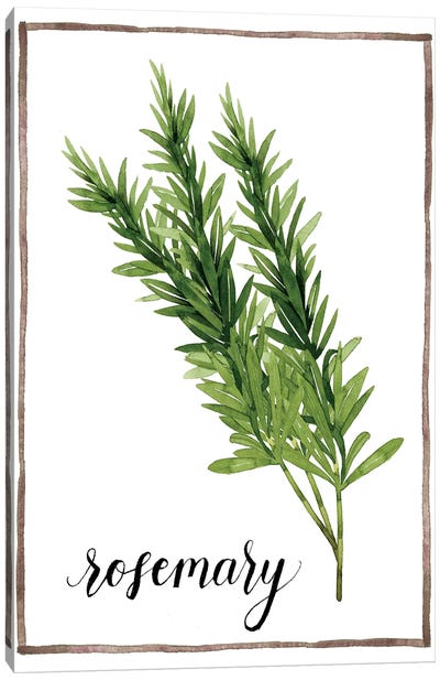 Watercolor Herbs V Canvas Art Print - Herb Art
