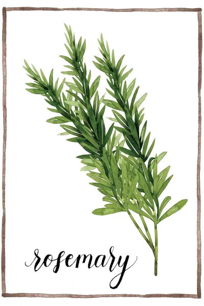 Herbs: Watercolor Herbs V by Grace Popp