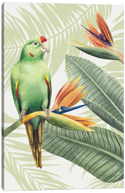Avian Paradise IV Canvas Art Print - Pantone Greenery 2017