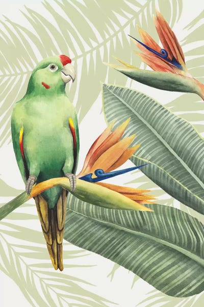 Pineapples: Avian Paradise IV by Grace Popp