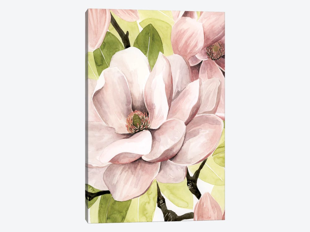 Blush Magnolia II by Grace Popp 1-piece Canvas Print