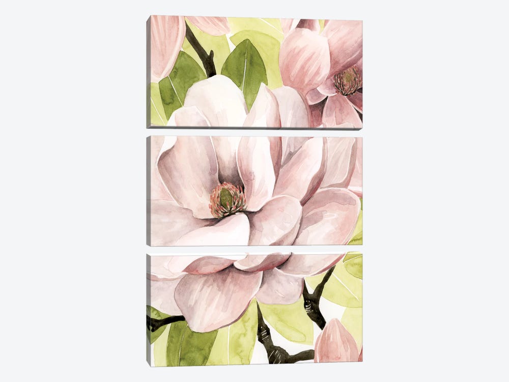 Blush Magnolia II by Grace Popp 3-piece Canvas Art Print