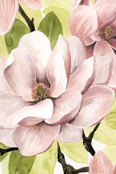 Floral Close-Ups: Blush Magnolia II by Grace Popp