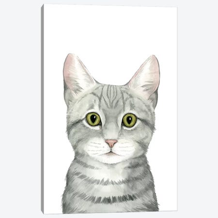 Cat Portrait III Canvas Print #POP624} by Grace Popp Art Print
