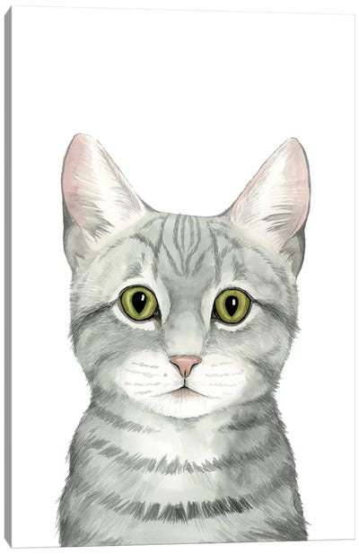 Cat Portrait III Canvas Art Print - Tabby Cat Art