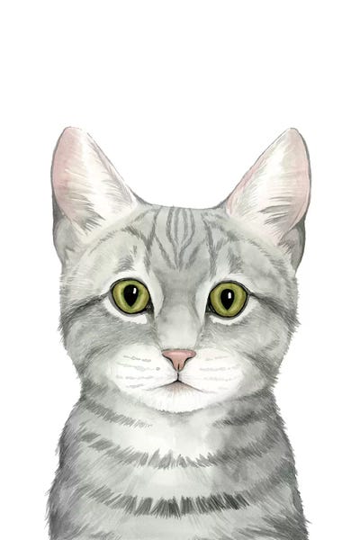 Tabbies: Cat Portrait III by Grace Popp