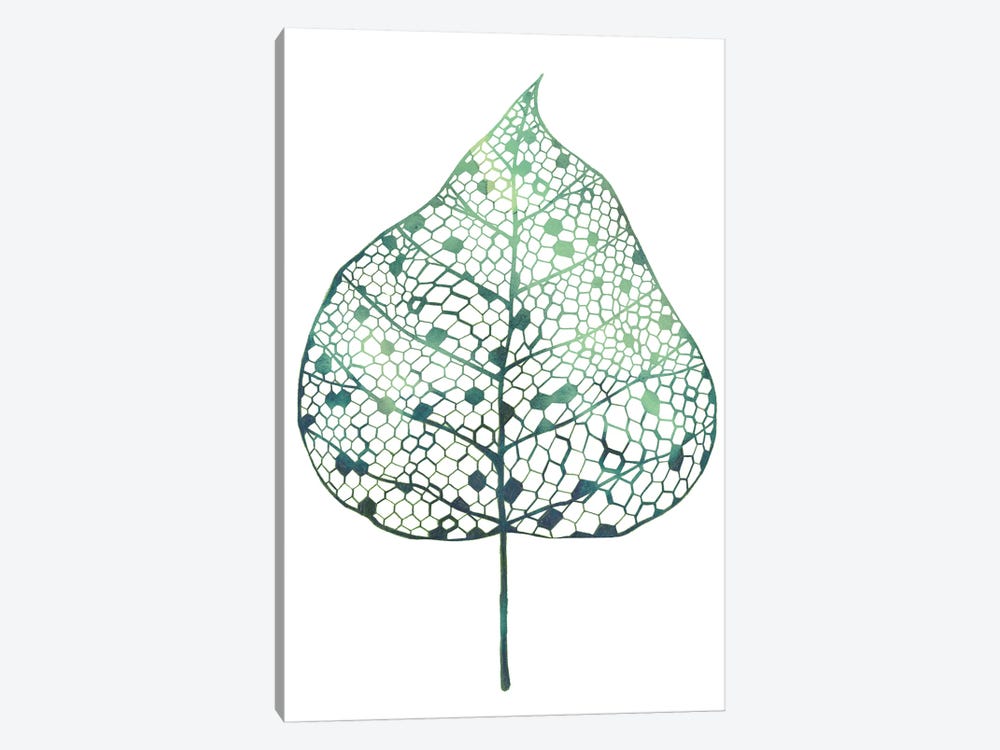 Veiled Leaf I by Grace Popp 1-piece Canvas Wall Art