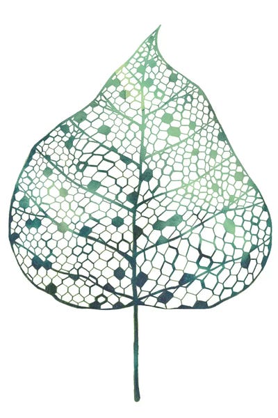 Minimalist Bohemian Decor: Veiled Leaf I by Grace Popp