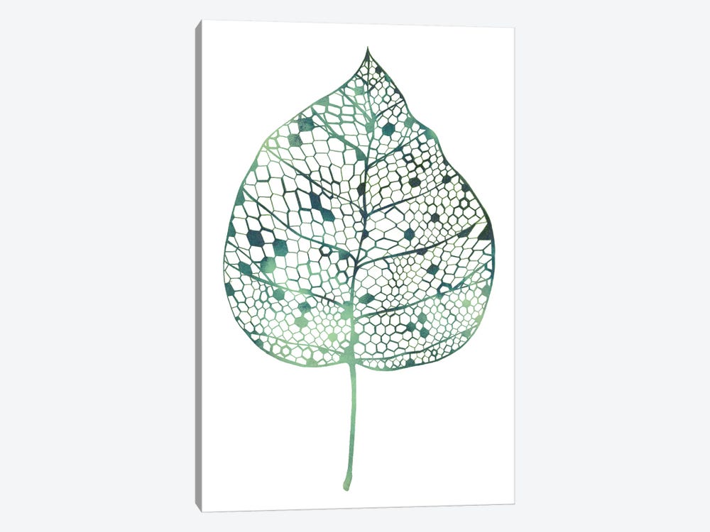 Veiled Leaf II by Grace Popp 1-piece Canvas Art Print