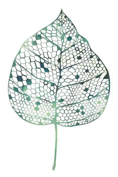 Minimalist Bohemian Decor: Veiled Leaf II by Grace Popp