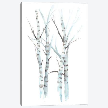 Aquarelle Birches I Canvas Print #POP731} by Grace Popp Canvas Artwork