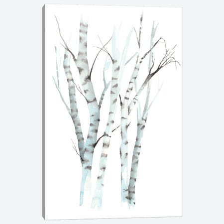 Aquarelle Birches II Canvas Print #POP732} by Grace Popp Canvas Artwork