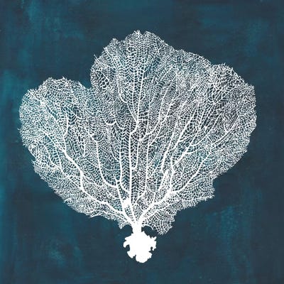 Inverse Sea Fan I by Grace Popp framed canvas print