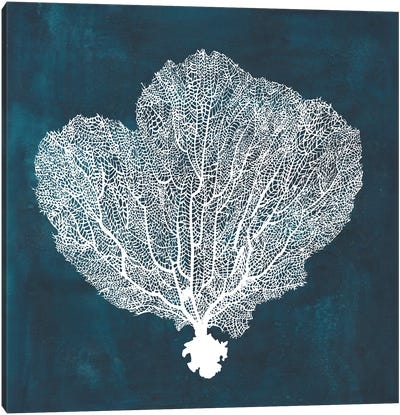Inverse Sea Fan I Canvas Art Print - Coral Art
