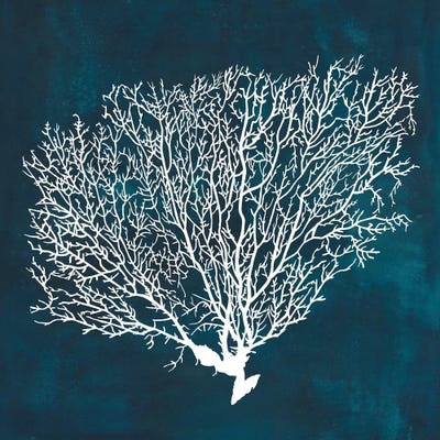Inverse Sea Fan II by Grace Popp framed canvas print
