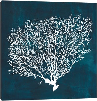 Inverse Sea Fan II Canvas Art Print - Coral Art