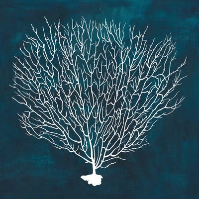 Inverse Sea Fan IV by Grace Popp canvas print