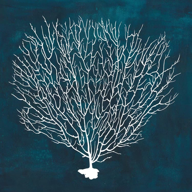 Inverse Sea Fan IV