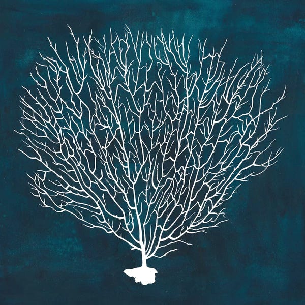 Coral: Inverse Sea Fan IV by Grace Popp