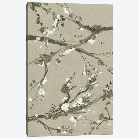 Neutral Cherry Blossoms I Canvas Print #POP781} by Grace Popp Art Print