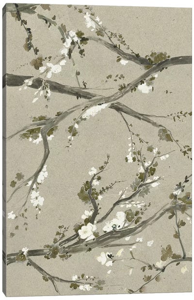 Neutral Cherry Blossoms I Canvas Art Print - Cherry Tree Art