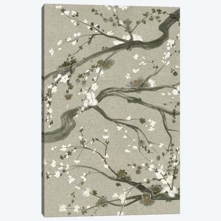 Neutral Cherry Blossoms II Canvas Print #POP782} by Grace Popp Art Print