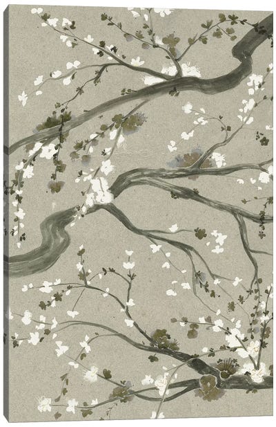 Neutral Cherry Blossoms II Canvas Art Print - Zen Garden
