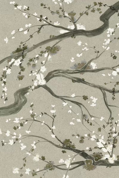 Cherry Trees: Neutral Cherry Blossoms II by Grace Popp
