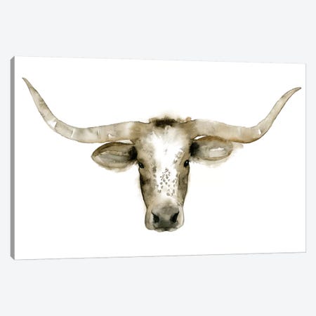 Longhorn Steer I Canvas Print #POP81} by Grace Popp Art Print