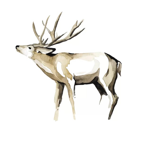 Deer: Watercolor Woodland I by Grace Popp