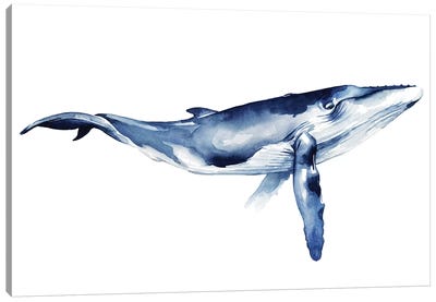 Whale Portrait I Canvas Art Print