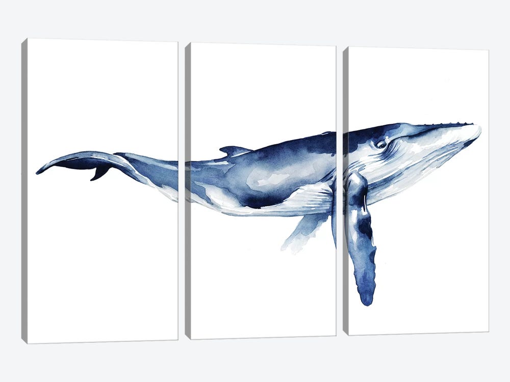 Whale Portrait I 3-piece Canvas Wall Art