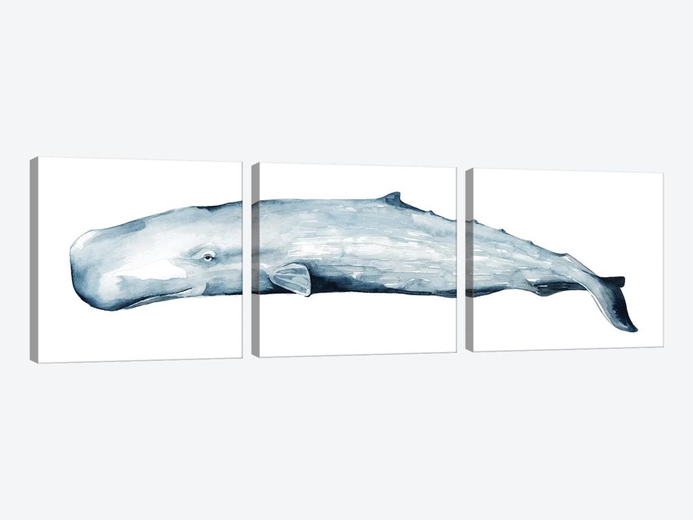 Whale Portrait II 3-piece Canvas Art Print