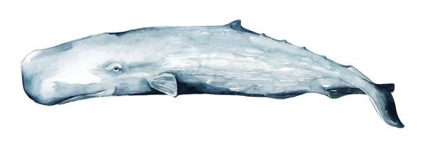 Kids Nautical Art: Whale Portrait II by Grace Popp