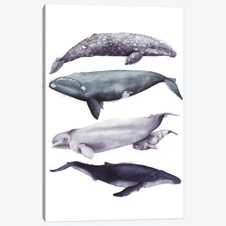 Whale Stack I Canvas Print #POP829} by Grace Popp Canvas Artwork