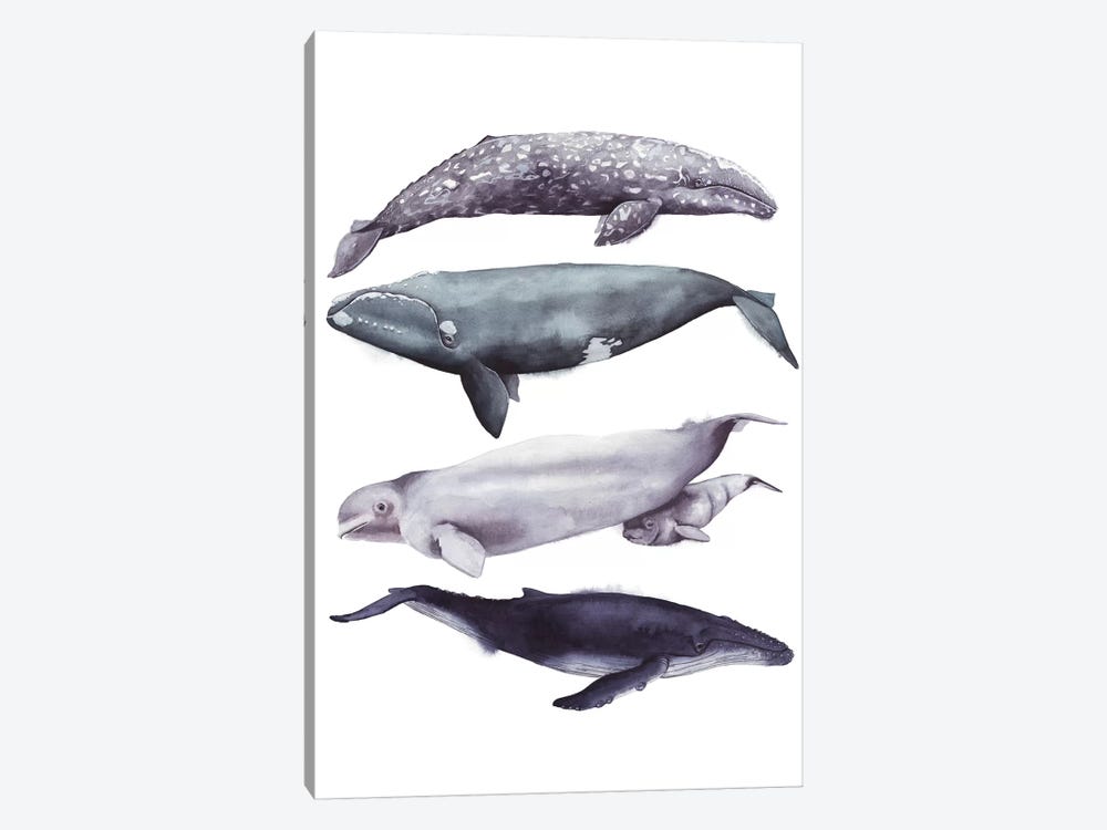 Whale Stack I 1-piece Canvas Artwork