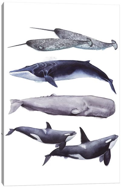 Whale Stack II Canvas Art Print - Kids Nautical Art